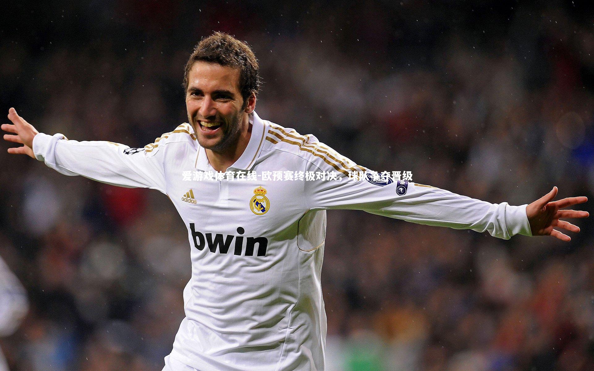 爱游戏体育在线-欧预赛终极对决，球队争夺晋级