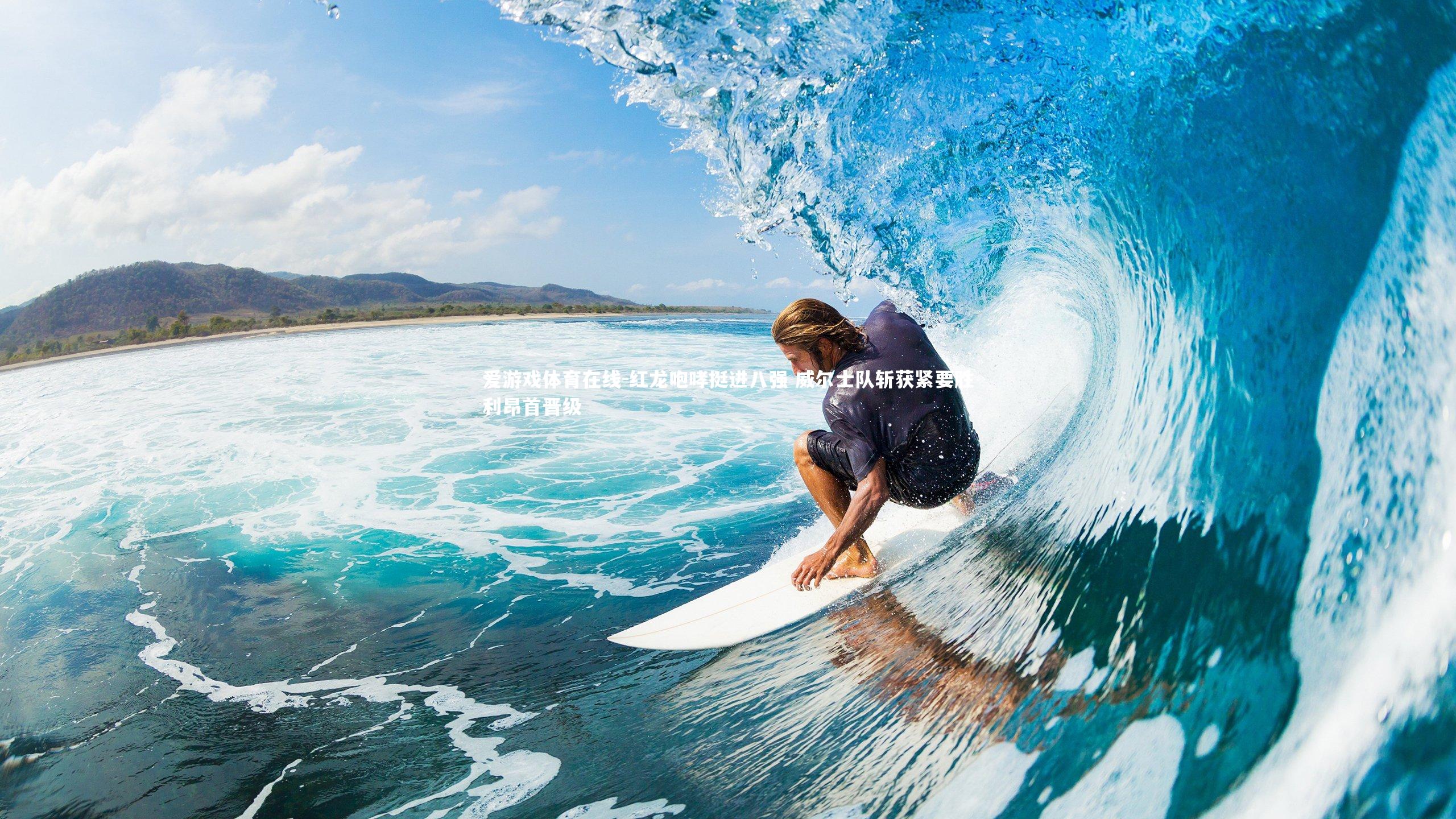 红龙咆哮挺进八强 威尔士队斩获紧要胜利昂首晋级